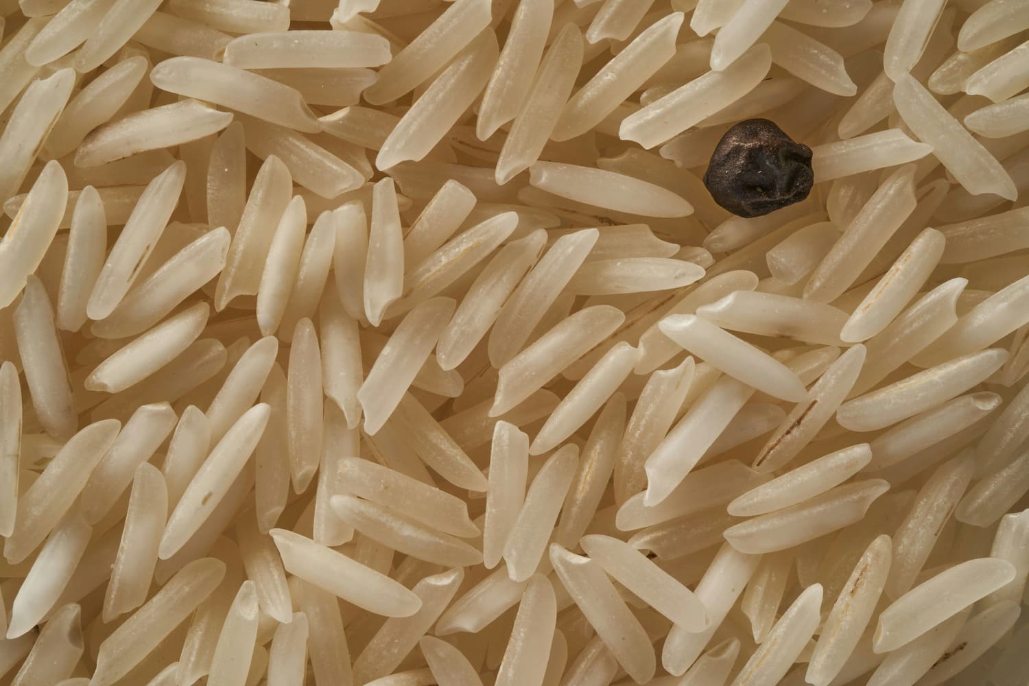 Non Basmatic Rice